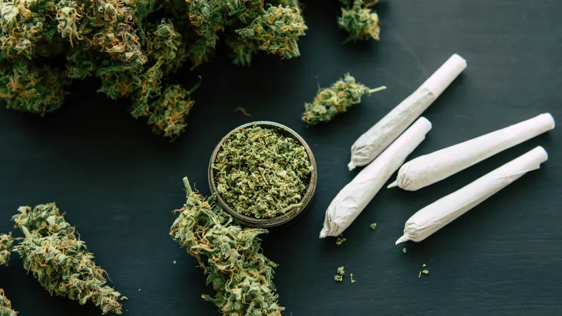 Die Geschichte von Cannabis: Herkunft, Nutzung und Verbot